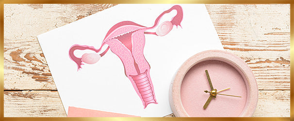 menopauze header