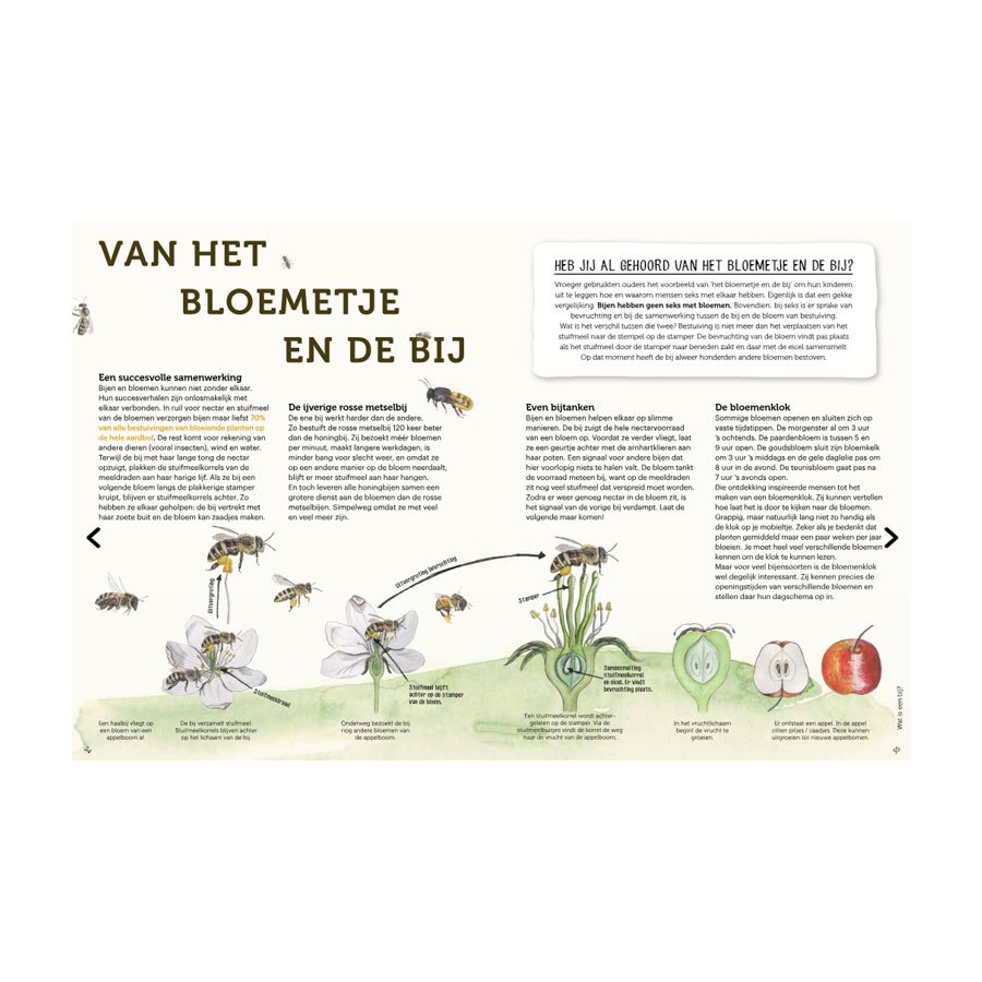 Handboek voor Bijenfans - Gerard Sonnemans | Kinderboek over Bijen- Lekkerhoning.nl