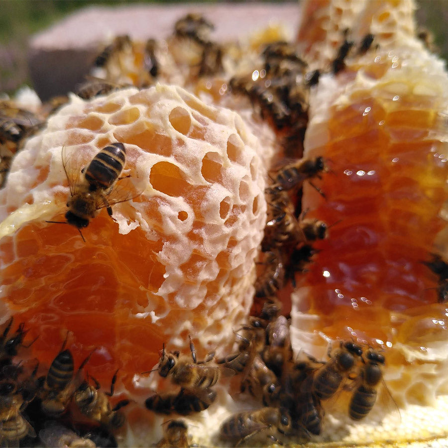 Zomer Raathoning uit Roemenie- Lekkerhoning.nl