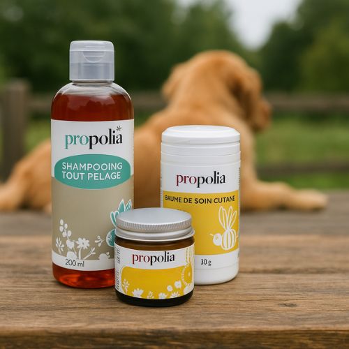 Dierenverzorging met Honing & Propolis