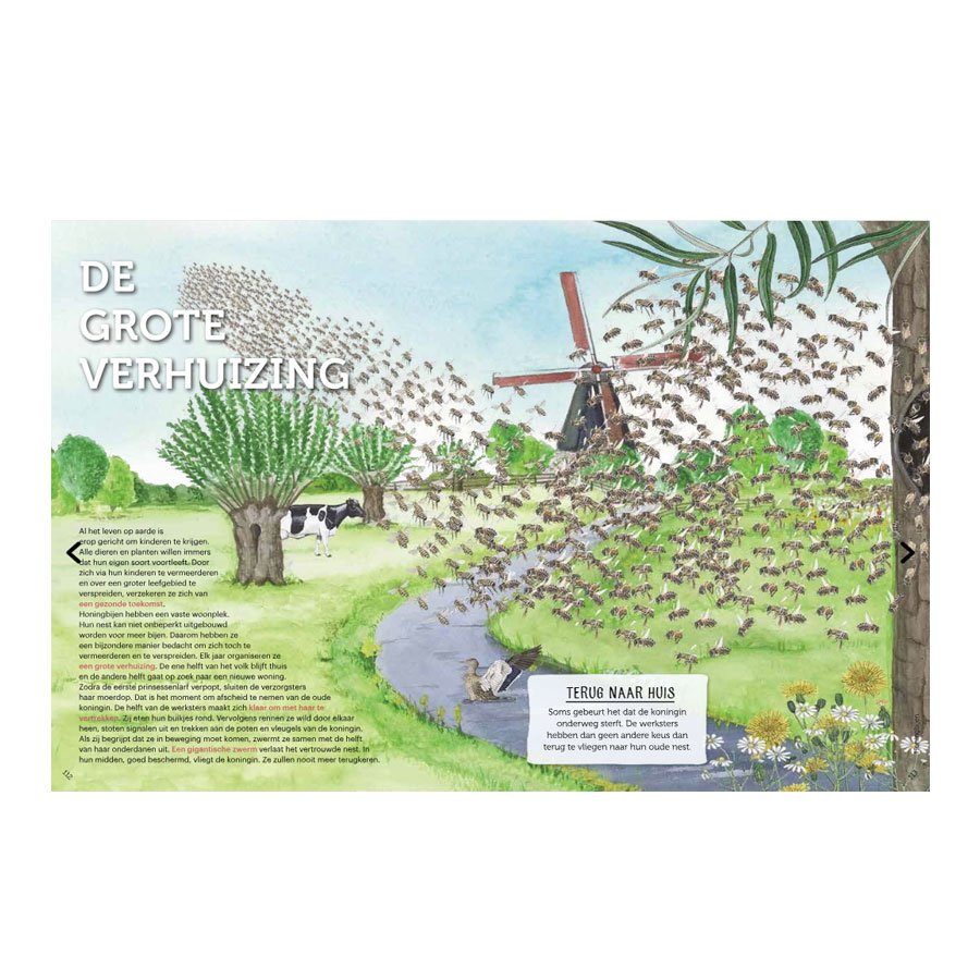 Handboek voor Bijenfans - Gerard Sonnemans | Kinderboek over Bijen- Lekkerhoning.nl