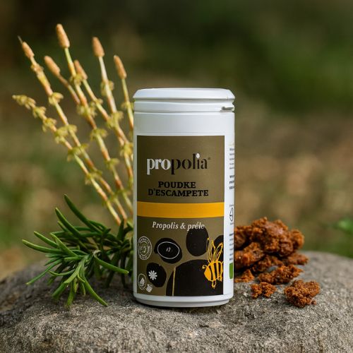 Huidverzorgingspoeder met propolis- Lekkerhoning.nl