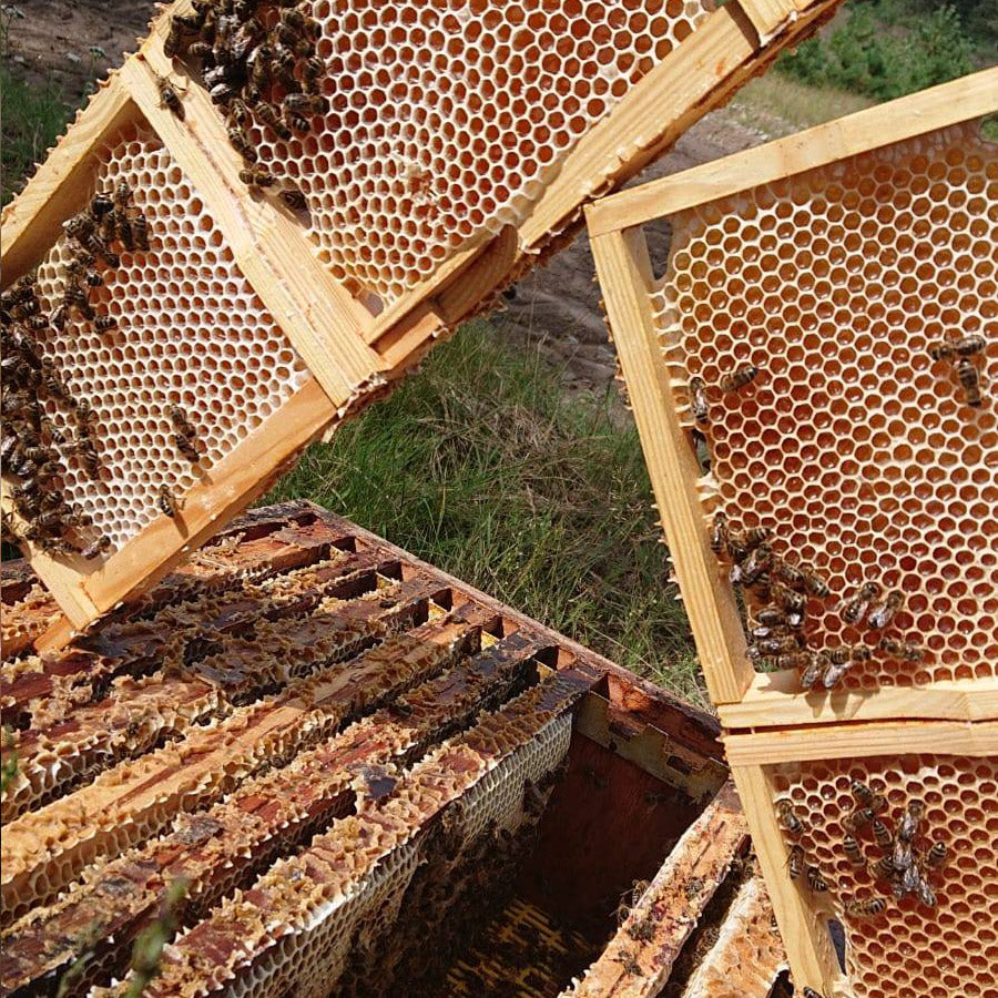 Zomer Raathoning uit Roemenie- Lekkerhoning.nl