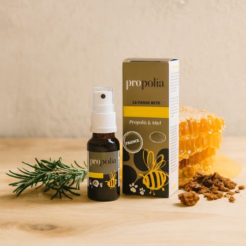 Zuiverende spray Propolis- Lekkerhoning.nl